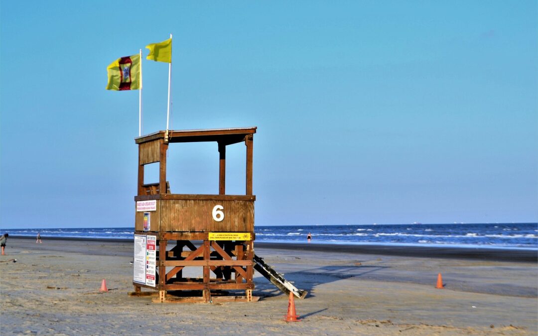 Digitalisasi dan Pemberdayaan Masyarakat Desa Senayan