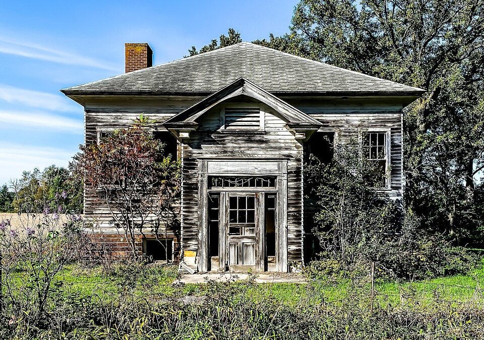 Pelatihan Digital untuk Masyarakat dalam Konservasi Lingkungan di Desa Senayan